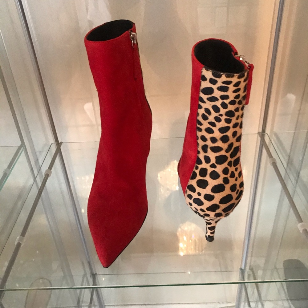 Giuseppe Zanotti